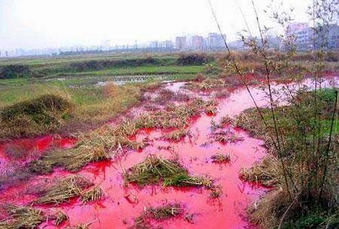 大气、水、土壤污染：“健康中国”拦路虎